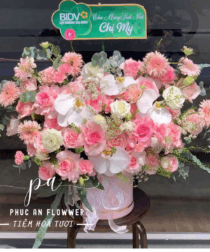 Sắc Xanh Hy Vọng