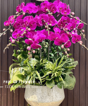 Phú Quý Cát Tường