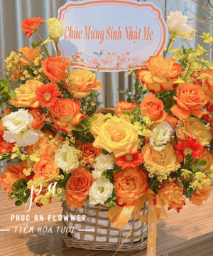 Nắng Vàng An Yên